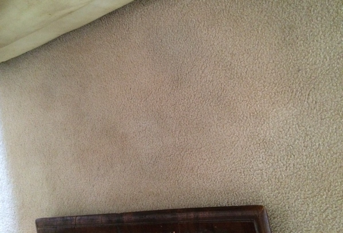 How To Remove Stubborn Carpet Stains With An Iron! Wonderfully Women Wonderfully Women