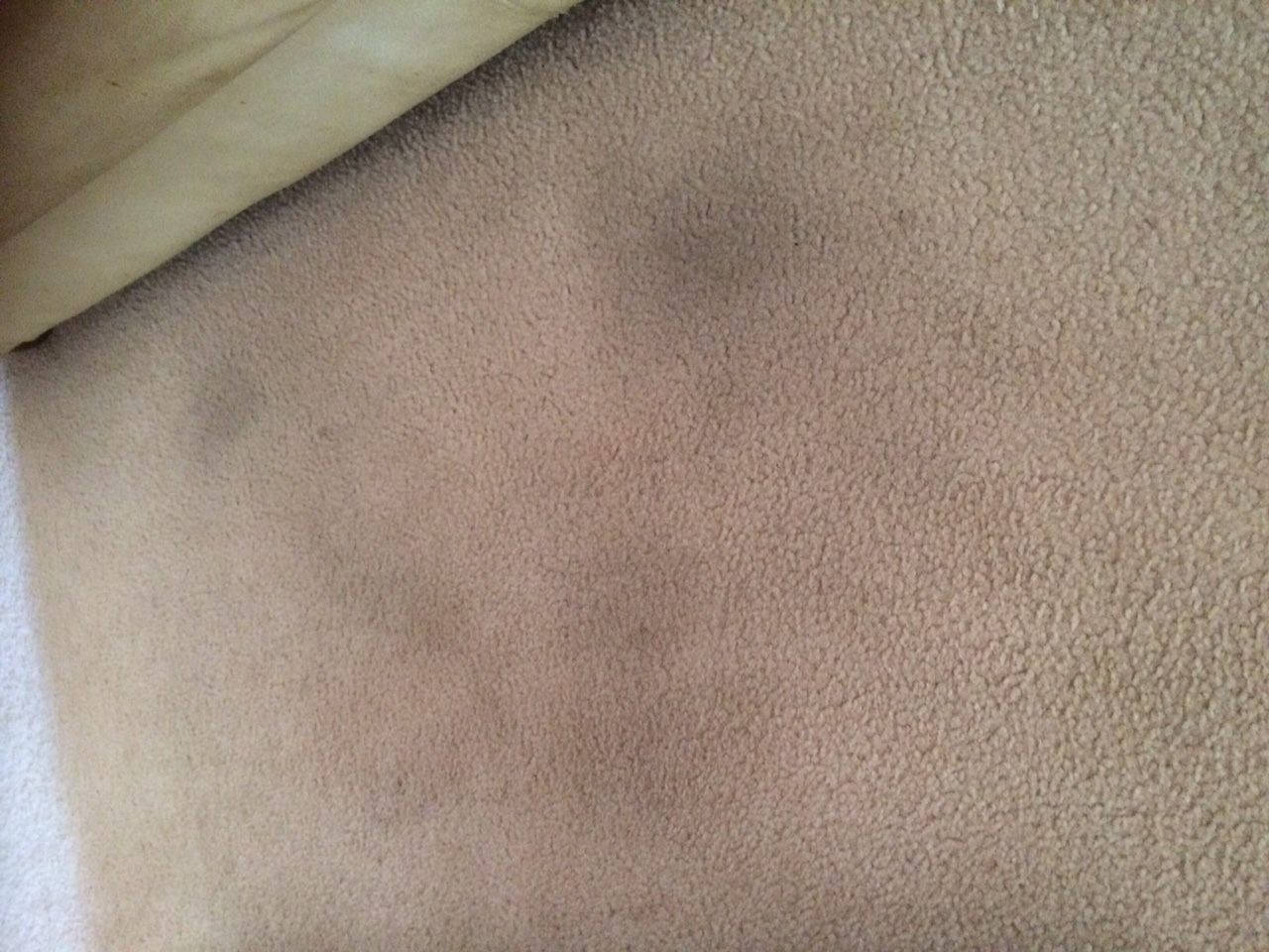 How To Remove Stubborn Carpet Stains With An Iron! Wonderfully Women