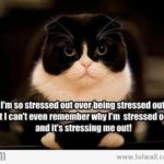 Two Very Quick Ways To Stop Feeling Stressed!