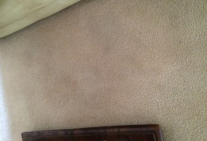 cleaner carpets with an iron
