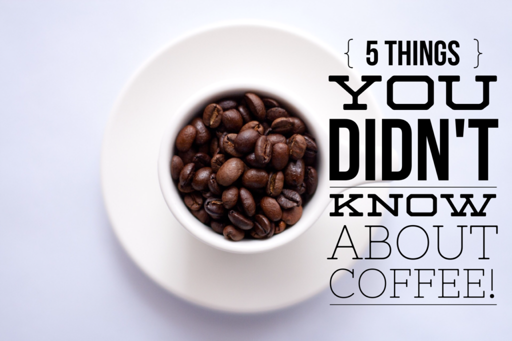 things you didn't know about coffee