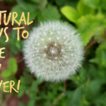 Natural Ways To Ease Hay Fever!